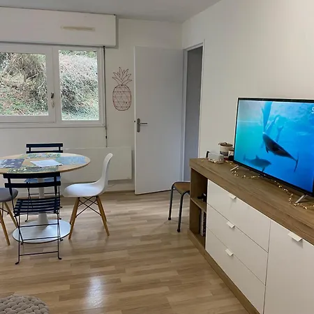 T2 Au Coeur D'aurillac Apartman Aurillac