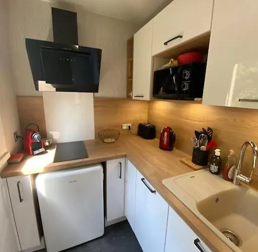 T2 Au Coeur D'aurillac דירה אורילק